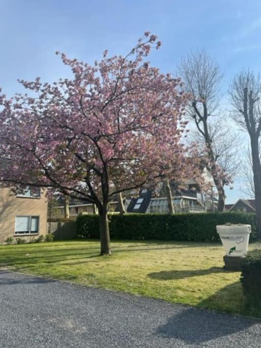 Holidayhome Zonnestraal 9P Amsterdam And The Beach เฮียร์ฮูโควาร์ด ภายนอก รูปภาพ